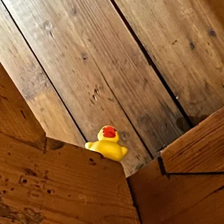 Ruim Met Terras Rustig Gelegen, Centrum Apartamento Bergen