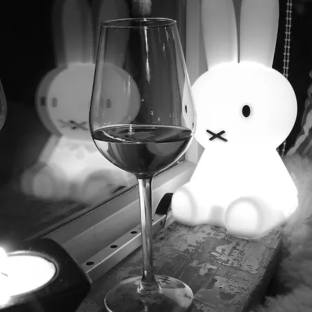 Ruim Met Terras Rustig Gelegen, Centrum Apartamento *