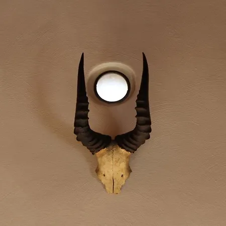 Ruim Met Terras Rustig Gelegen, Centrum Apartamento