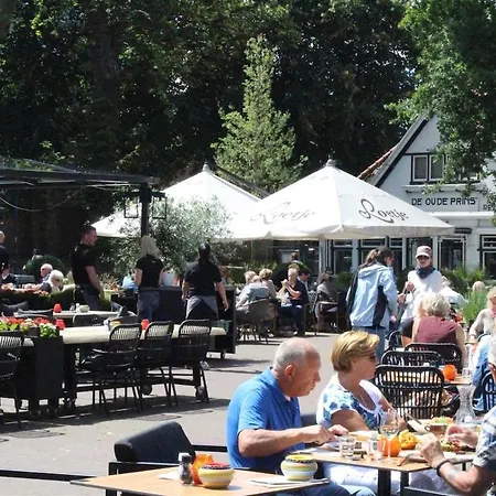 Ruim Met Terras Rustig Gelegen, Centrum Bergen
