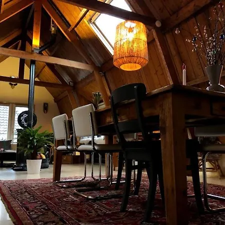 Ruim Met Terras Rustig Gelegen, Centrum Bergen