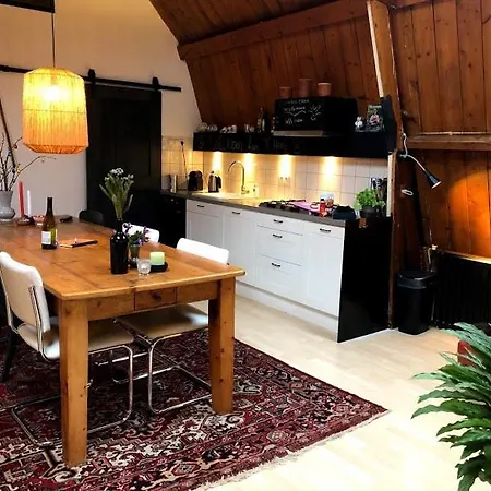 Ruim Met Terras Rustig Gelegen, Centrum Apartamento