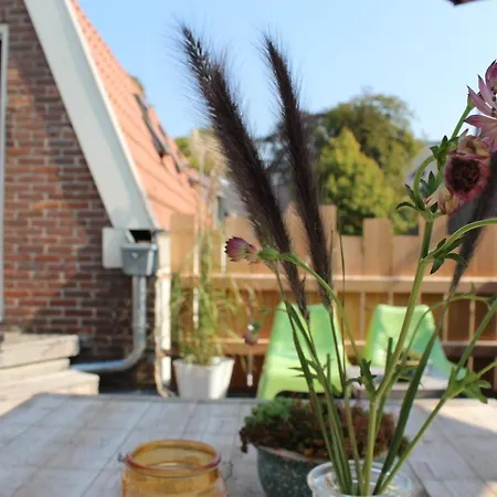 Apartment Ruim Met Terras Rustig Gelegen, Centrum *
