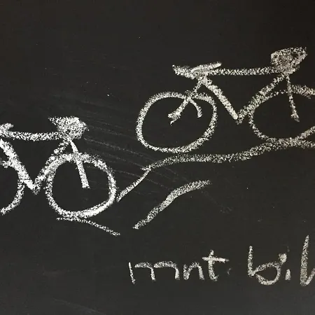 Ruim Met Terras Rustig Gelegen, Centrum Bergen