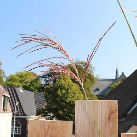 Ruim Met Terras Rustig Gelegen, Centrum *