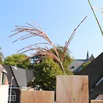 Ruim Met Terras Rustig Gelegen, Centrum *