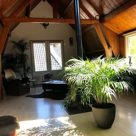 Apartmán Ruim Met Terras Rustig Gelegen, Centrum *