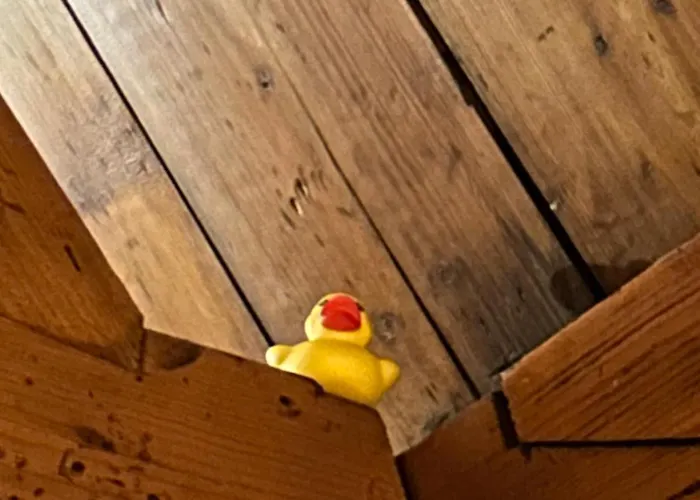 Ruim Met Terras Rustig Gelegen, Centrum דירה ברחן