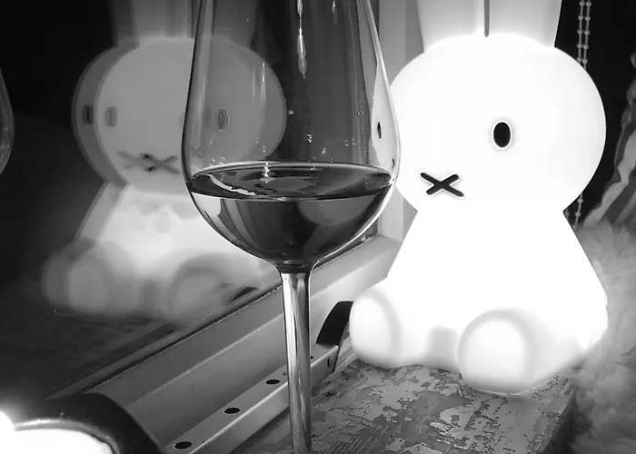 Ruim Met Terras Rustig Gelegen, Centrum דירה *