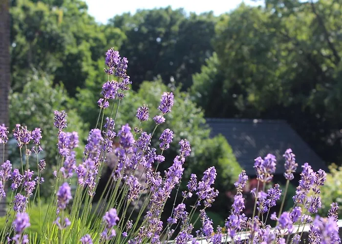 Ruim Met Terras Rustig Gelegen, Centrum ברחן