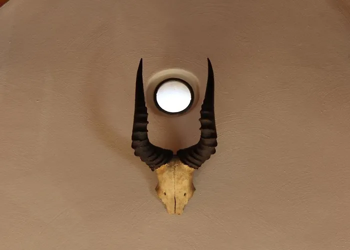 Ruim Met Terras Rustig Gelegen, Centrum דירה